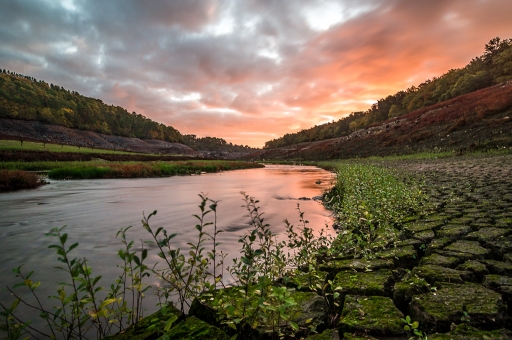 [ Nov.-Déc. 2015 ] Nature
Bloody "Guerledan"
