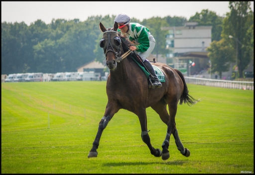 2014-09-09 / Mickmac
Mickmac [ Sports ]
