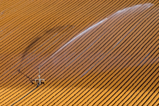 [Juin 2019] Ligne(s)
ASM "Arrosage"
