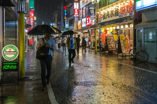 2017-11-20 / Yukumizu
Yukumizu [Environnement urbain et constructions humaines]
