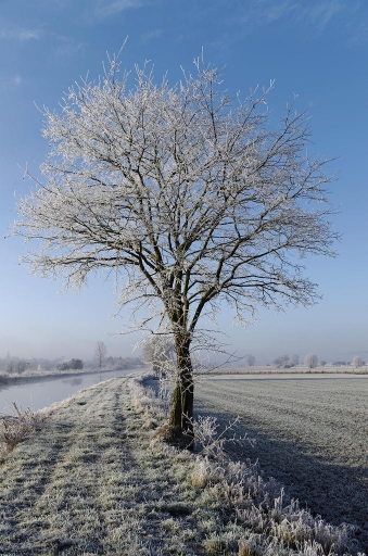 2019-02-04 charlysouho
charlysouho [Paysages et elements naturels]
