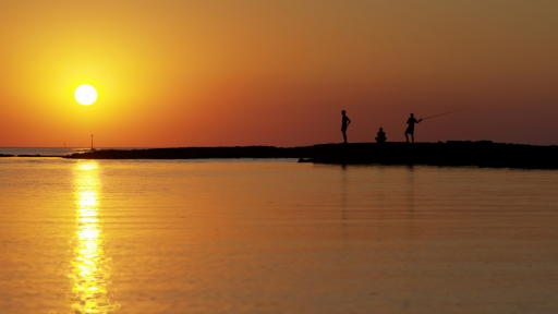 2019-03-26 / deche
deche [Paysages et elements naturels]
