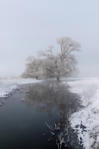 2021-01-18 charlysouho
charlysouho [Paysages et éléments naturels] 

