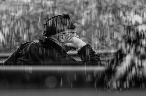 2022-12-12 charlysouho
charlysouho [Portraits]
