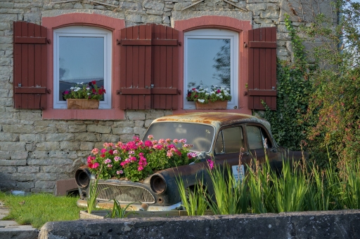 2023-10-01 Kape
Kape [Natures mortes, photos d'objets] 
