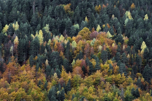 2023-12-12 vinhug
vinhug [Paysages et éléments naturels] 
