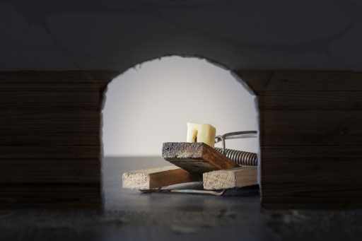 [Avril 2019] Au ras du sol
dardi "Trou de souris"
