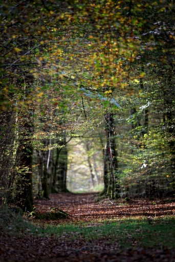 2017-11-06 / Kadix Le Gaulois
Kadix Le Gaulois [Paysages et elements naturels]
