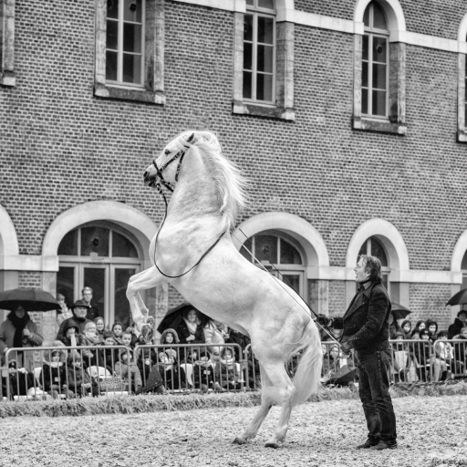 2018-03-26 Berzip
Berzip "Caiman , Nador et Mario LURASCHI"
