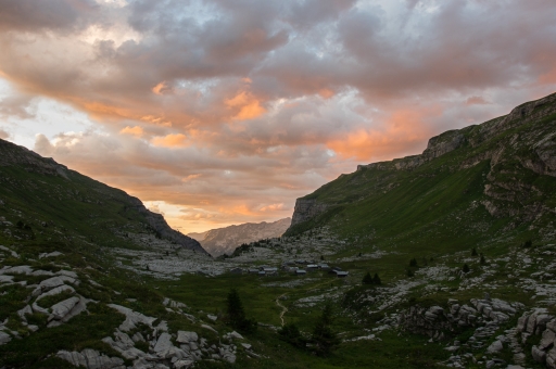 2020-08-31 ASM
ASM  [Paysages et éléments naturels] 
