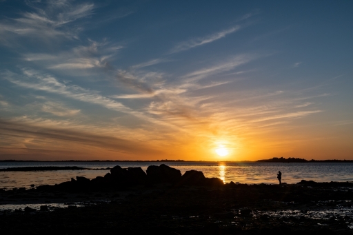 2022-02-14 neosilencers
neosilencers [Paysages et éléments naturels] 
