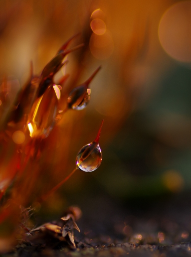 [Avril 2021] Ã‰claboussures
yuma "Après l'orage"
