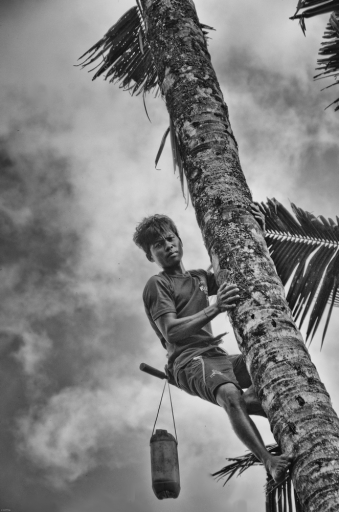 2016-09-12 / FreD69
FreD69 [ Portraits ]
