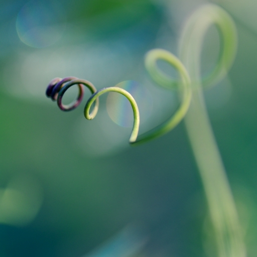 [ Octobre 2016 ] Courbes
Marceline "Tournicoti tournicoton"
