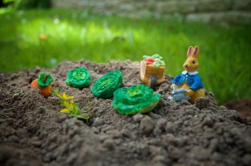 [Juin 2022] Mise en scène 
Marceline "Jeannot lapin et son jardin"
