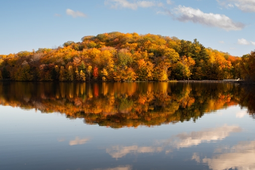 [Novembre 2023] Couleurs d'automne
K1ribou "Le reflet"
