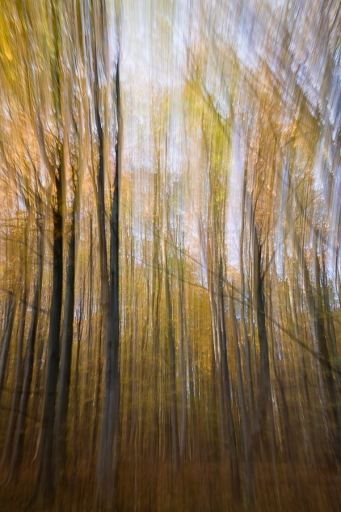 2020-11-17 / J_c
J_c  [Paysages et éléments naturels]
