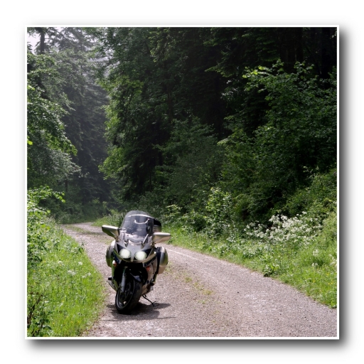 Août 2011 - Edamuas
Aout 2011 - Edamuas
