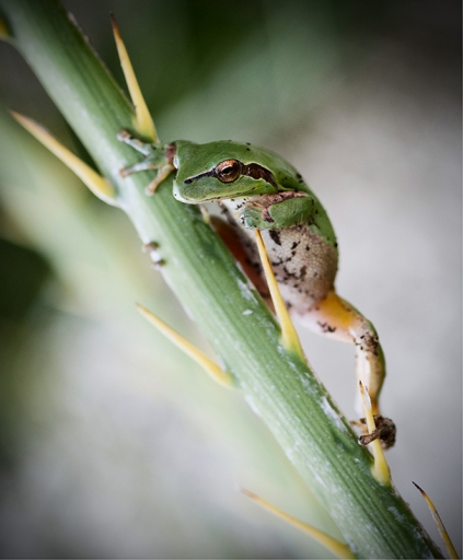 Février 2011 - rrteam
Fevrier 2011 - rrteam

