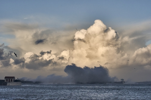 2021-12-06 vinhug
vinhug [Paysages et éléments naturels] 
