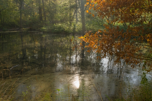 2020-11-23 Hermès 
Hermès "Ambiance et couleurs"
