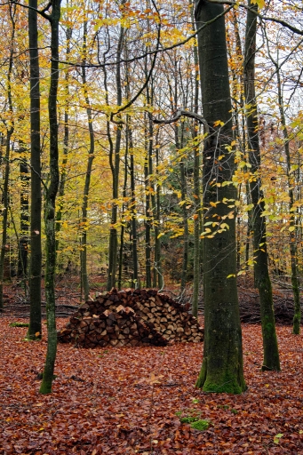 2019-11-11 Hermès
Hermès [Paysages et éléments naturels] 
