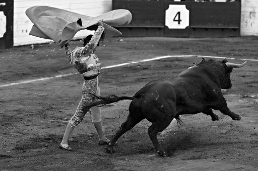 2011-01-19 / floÃ±
Par: flon - [ Noir et Blanc, Sepia et desaturation partielle ]
