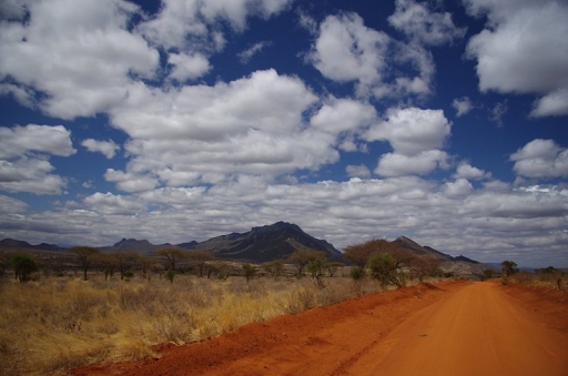 2011-08-22 / rodyo
Par: rodyo - [ Serie ] Voyage au Kenya
