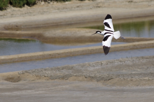 Mai 2011 - Marceline
Mai 2011 - Marceline
