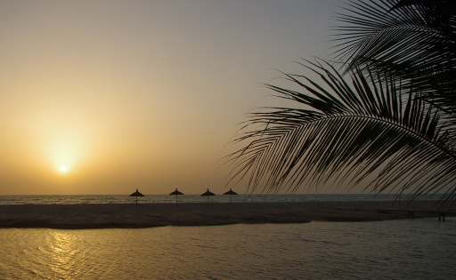 Avril 2011 - Gko
Avril 2011 - Gko
