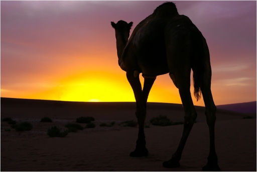 Juin 2011 - Marceline
Juin 2011 - Marceline
