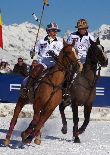 2011-02-02 / Poos1
Par: Poos1 - [ Chevaux ]
