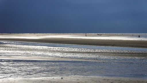 2021-05-31 papa
papa  [Paysages et éléments naturels] 
