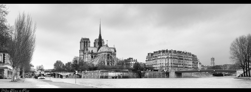 Mars 2011 - woodpecker from mars
Mars 2011 - woodpecker from mars
