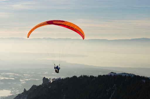 2019-03-04 ASM
ASM [Sport]
