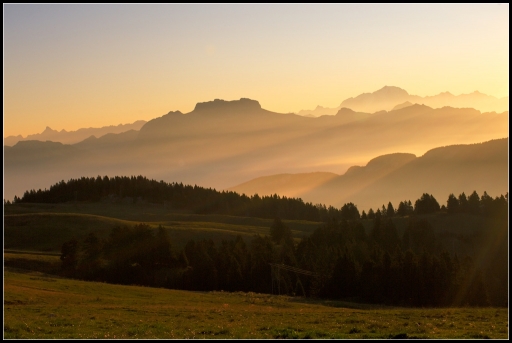 Novembre 2011 - blop
Novembre 2011 - blop
