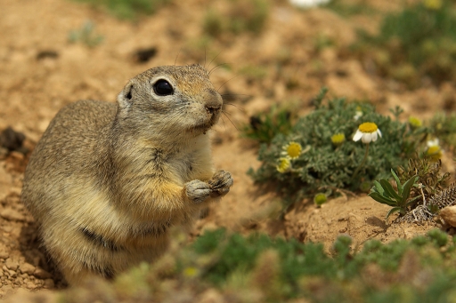 Décembre 2011 - david81
Decembre 2011 - david81
