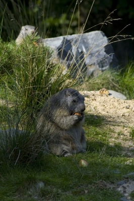 2008-09-24 / jeff67560
Par: jeff67560 - [Serie: Parc de sainte croix (2)]
