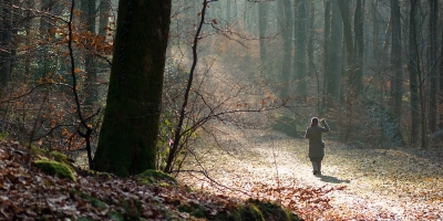 2009-01-14 / Prot158
Par: Prot158 - Serie [WE au Luxembourg]
