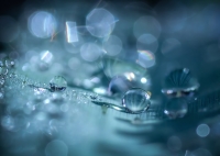 Nom du fichier=10059_30_01_16_1_10_59.jpg
Taille du fichier=94Ko
Dimensions : 1024x731
Ajouté le : 14 Février 2016 10059_30_01_16_1_10_59.jpg