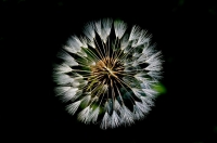 Nom du fichier=110430032555130661.jpg
Taille du fichier=155Ko
Dimensions : 1024x678
Ajouté le : 21 Janvier 2012 110430032555130661.jpg