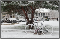 Nom du fichier=13011510445115961110763025.jpg
Taille du fichier=277Ko
Dimensions : 1024x685
Ajouté le : 16 Janvier 2013 13011510445115961110763025.jpg