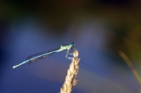 Nom du fichier=14073008275813423112422437.jpg
Taille du fichier=90Ko
Dimensions : 1024x678
Ajouté le : 03 Août 2014 14073008275813423112422437.jpg