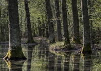 Nom du fichier=150415094706380282.jpg
Taille du fichier=349Ko
Dimensions : 1024x724
Ajouté le : 15 Avril 2015 150415094706380282.jpg