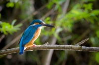 Nom du fichier=170416081956442508.jpg
Taille du fichier=330Ko
Dimensions : 1020x678
Ajouté le : 17 Avril 2017 170416081956442508.jpg