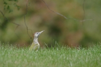 Nom du fichier=191004070023750589.jpg
Taille du fichier=163Ko
Dimensions : 1140x758
Ajouté le : 04 Octobre 2019 191004070023750589.jpg