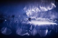 Nom du fichier=1~0.jpg
Taille du fichier=104Ko
Dimensions : 1199x800
Ajouté le : 15 Décembre 2019 1~0.jpg