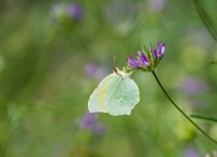 Nom du fichier=20062805112024923216891918.jpg
Taille du fichier=138Ko
Dimensions : 1241x900
Ajouté le : 28 Juin 2020 20062805112024923216891918.jpg