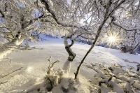 Nom du fichier=20121308590421144417168733.jpg
Taille du fichier=278Ko
Dimensions : 1000x665
Ajouté le : 13 Décembre 2020 20121308590421144417168733.jpg