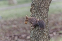 Nom du fichier=24012807493424603418346403.jpg
Taille du fichier=405Ko
Dimensions : 1280x853
Ajouté le : 28 Janvier 2024 24012807493424603418346403.jpg